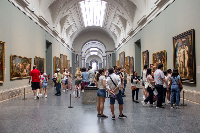 Prado Museum Guided Tour with Fast Access - What the guide adds to the paintings