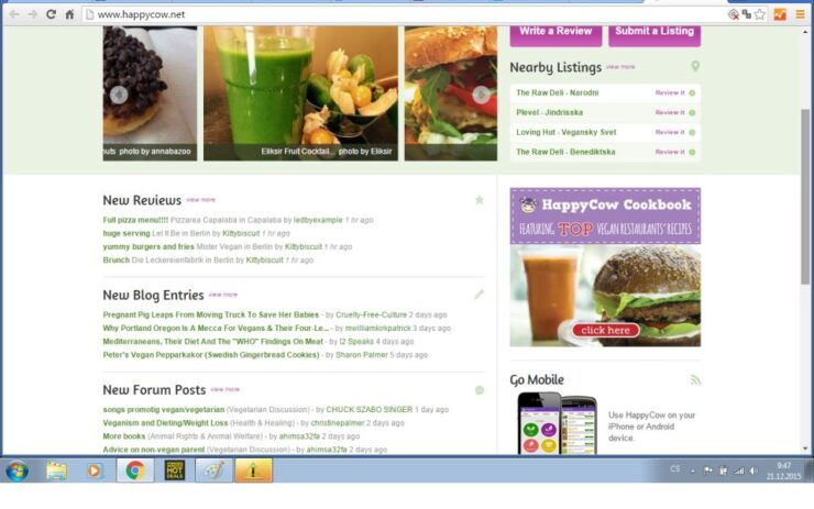Prague: 4-Hour Vegetarian Food & History Tour - Vegetarian Food Sampling