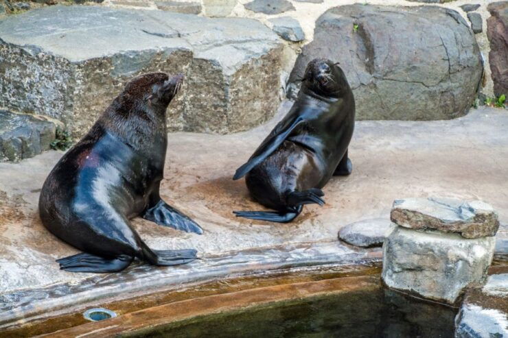 Prague: Boat Ride to the Zoo and Admission Ticket - Highlights