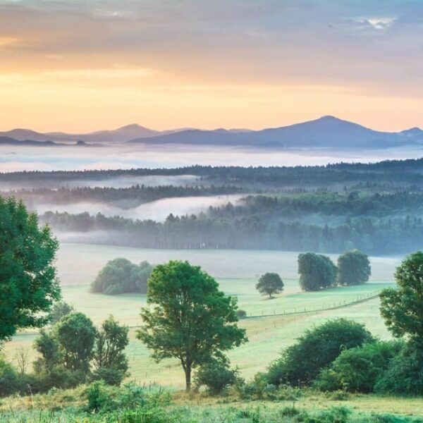 Prague: Bohemian & Saxon Switzerland National Park Day Trip - Scenic Van Transfer Details