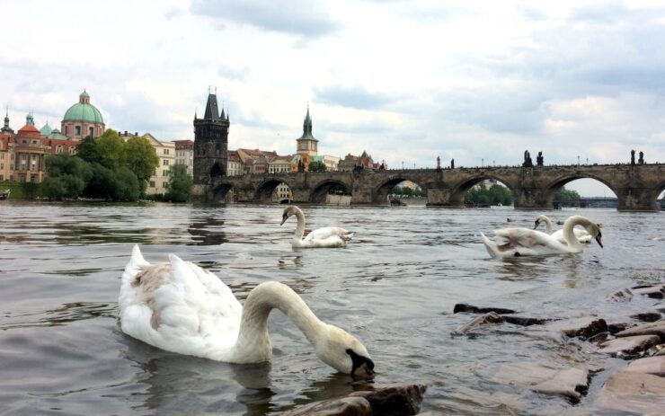 Prague: City Bike Tour - Tour Highlights