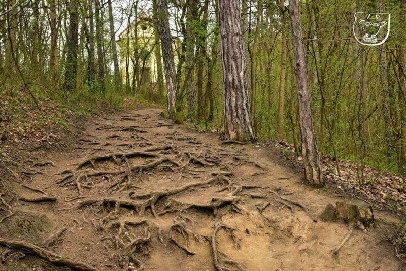 Prague: Czech Village Walking Tour with Guide - Practical Details & Value