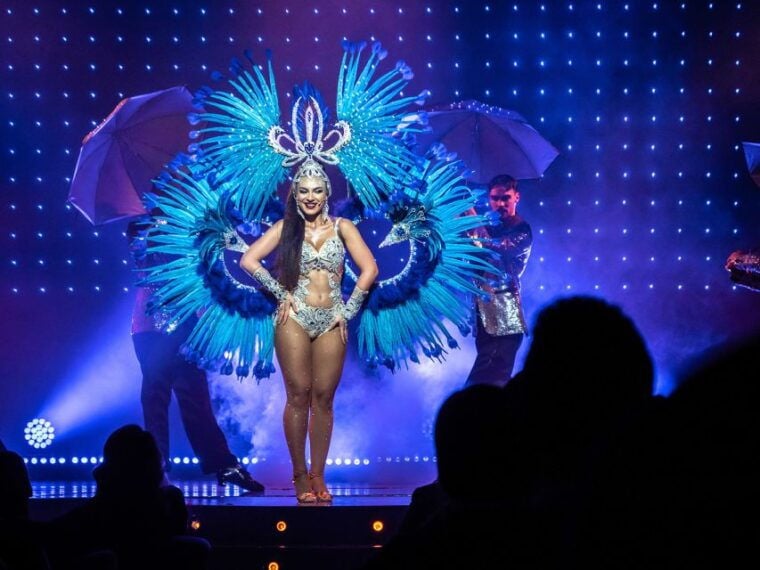 Prague: Evening Czech Cabaret Show at the Hybernia Theater - Is It Worth the Price?