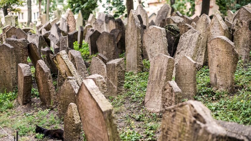 Prague Jewish Quarter Half-Day Tour with Expert Guide - Should you book it?