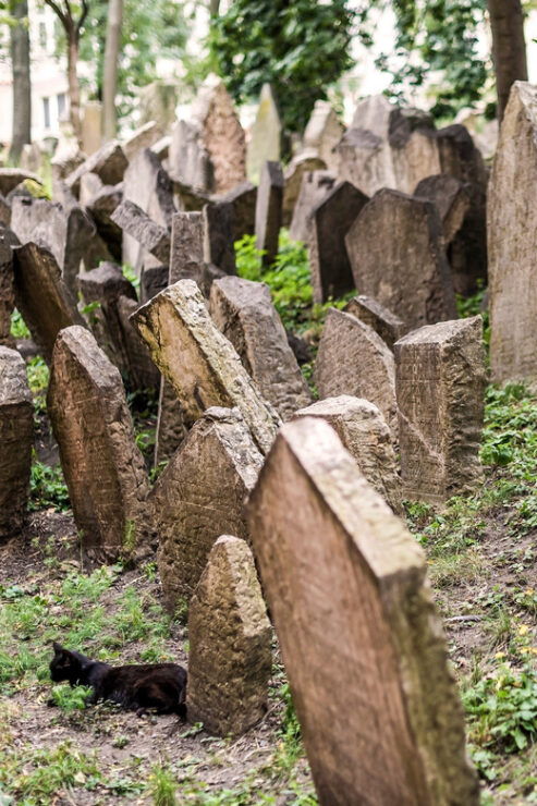 Prague: Jewish Quarter Walking Tour With Admission Tickets - Experience Highlights