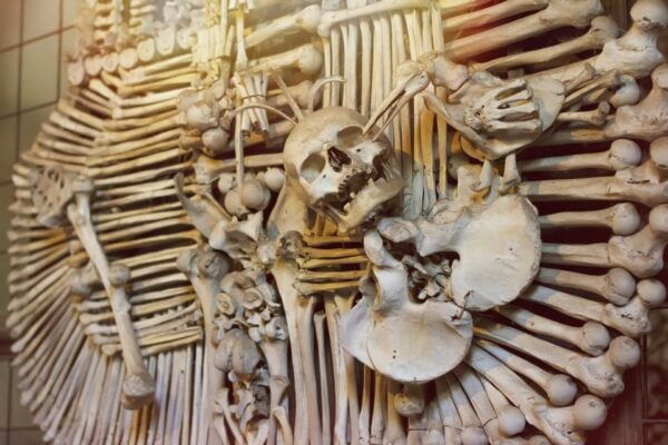 Prague: Kutná Hora and Bone Church With Round-Trip Transfer - Pickup and Meeting Points