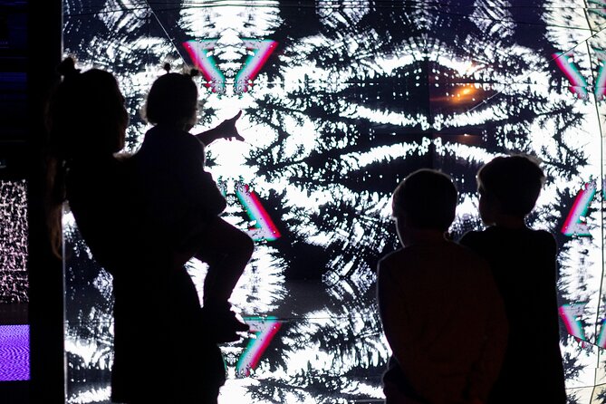 Prague Lumia Light Show With Gallery Ticket - Event Details