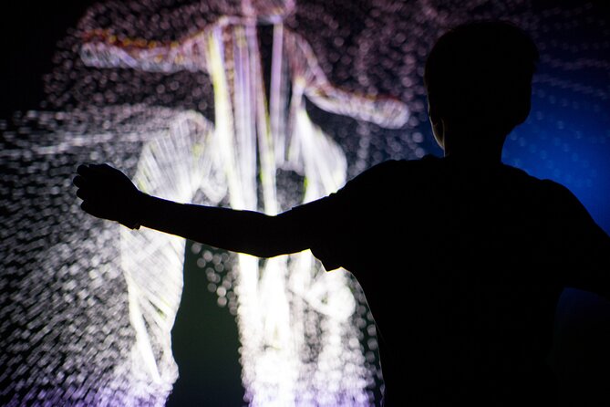 Prague Lumia Light Show With Gallery Ticket - Pricing and Guarantee