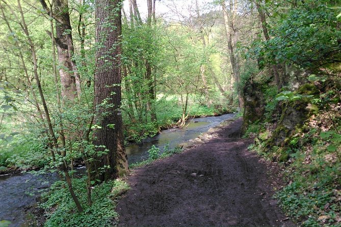 Prague Nature Highlights PRIVATE E-Bike Tour - Inclusions and Additional Information