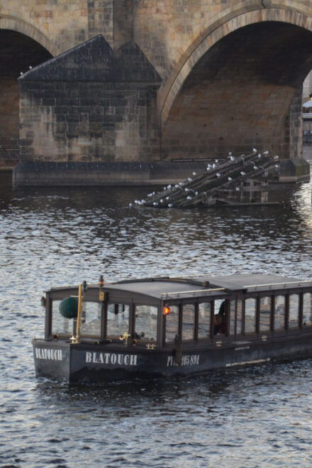 Prague: Old Town Guided Walking Tour and City Boat Ride - Booking Information