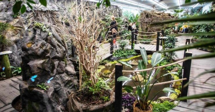 Prague: Papilonia Butterfly House - Ticket Information