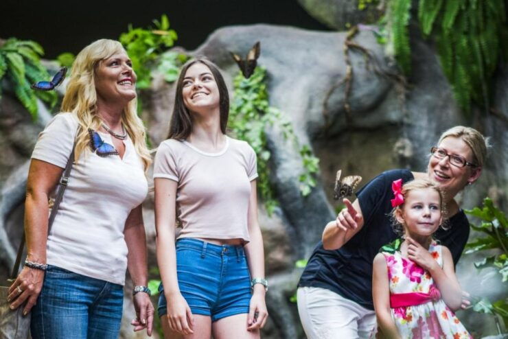 Prague: Papilonia Butterfly House - Experience at Papilonia Butterfly House