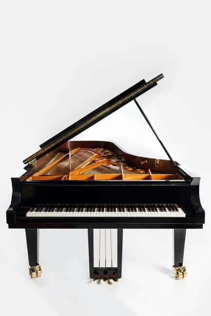 Prague: Piano Recital at Lobkowicz Palace - Who Will Love This Experience?