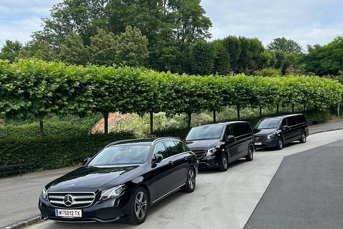 Prague Private Day Tour From Vienna ( Local Guide ) - Pricing and Guarantee