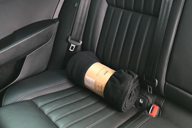 Prague to Karlovy Vary Private Transfer - Pricing Details and Guarantee