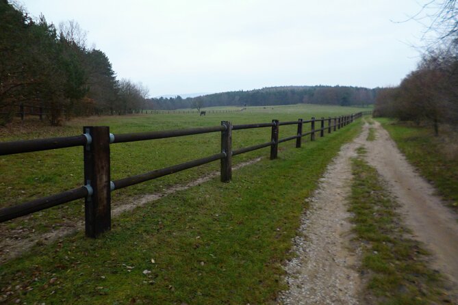 Prague to Karlstejn Trail Running Tour - Itinerary Highlights