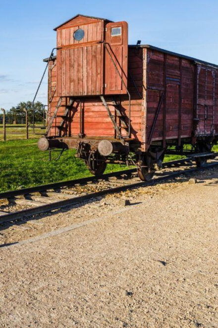 Prague: Tour to Auschwitz Birkenau - Important Information