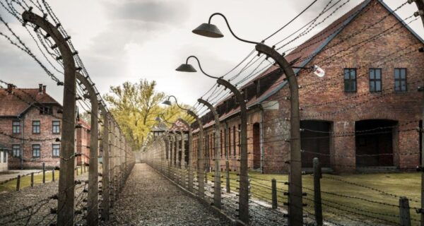 Prague: Tour to Auschwitz Birkenau - Private Group Options