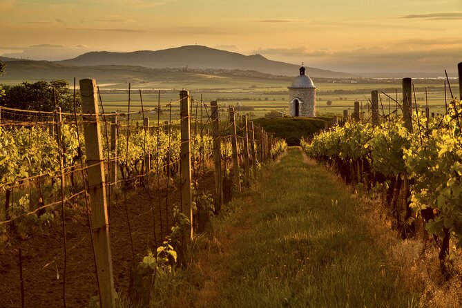 Prague - Vienna One-way Sightseeing Private Tour - Frequently Asked Questions