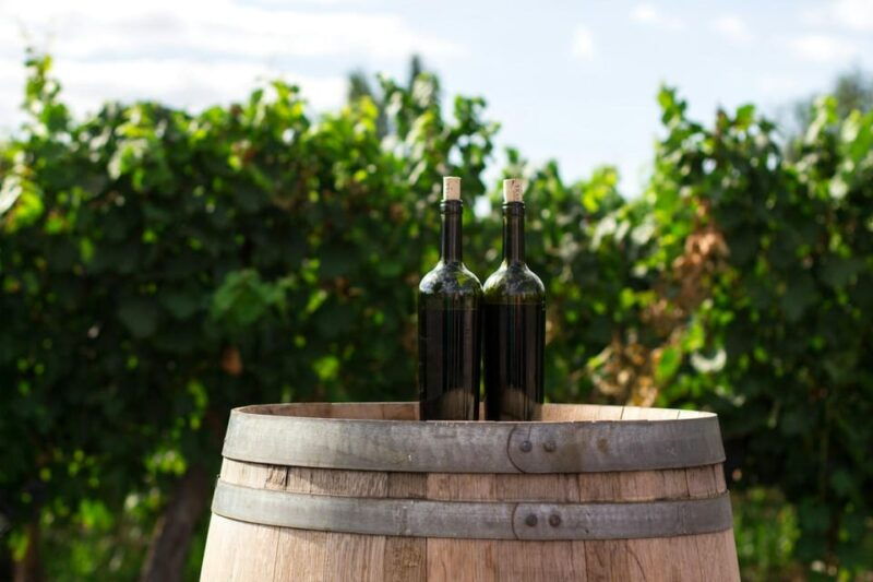 Prague Wine Tour - Itinerary Breakdown: A Closer Look
