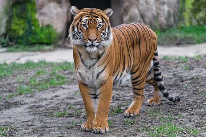 Prague Zoo Admission Ticket Including Round Trip Transfer - Enjoy Unique Animal Experiences