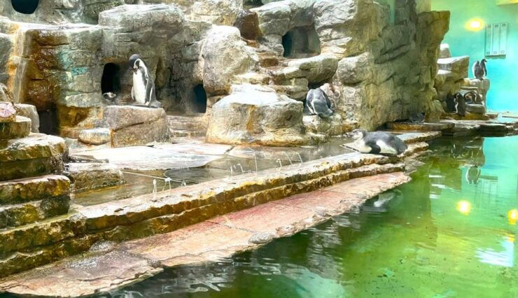 Prague Zoo Online Audio Guide (No Ticket) - Prague Zoo Online Audio Guide Overview