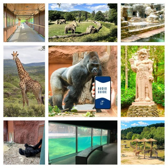 Prague Zoo Online Audio Guide (No Ticket) - History and Success of Prague Zoo