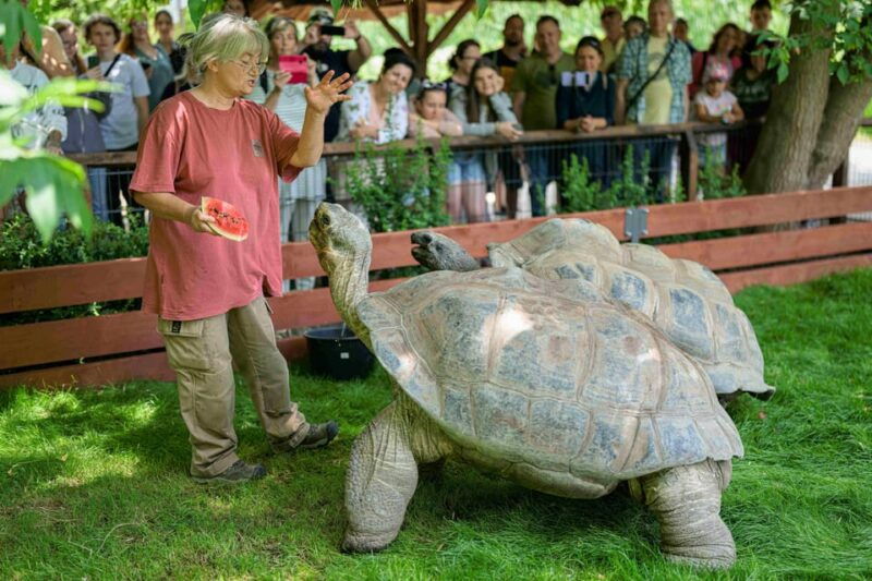 Prague Zoo: Skip-the-Line Entry Ticket - What Makes Prague Zoo Special?