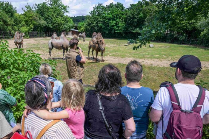 Prague Zoo: Skip-the-Line Entry Ticket - The Cost-Value Balance