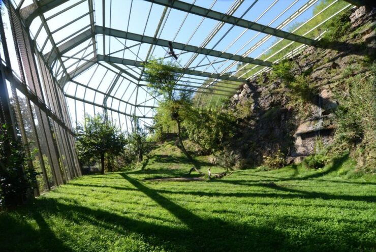 Prague Zoo Skip-the-line Tickets and Private Transfers - Booking Details