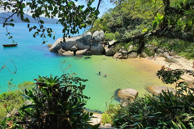 Praia Do Cação With Possible Sighting of Sea Lions by Zimbros Ecotour - Overview of Praia Do Cação