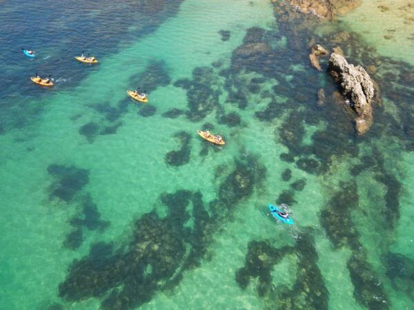 Praia Do Vau -Kayak Cave and Cliff Tour - Alvor and Portimão - The Sum Up