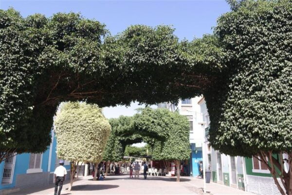 Praia: Guided City Sightseeing Tour - Frequently Asked Questions