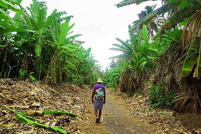 Praia Small-Group Local Experience - Explore Botanical Wonders and Rum Heritage