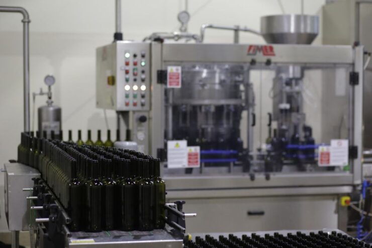 Pramaggiore: Ornella Bellia Winery Guided Tour & Tasting - Available Languages & Group Size