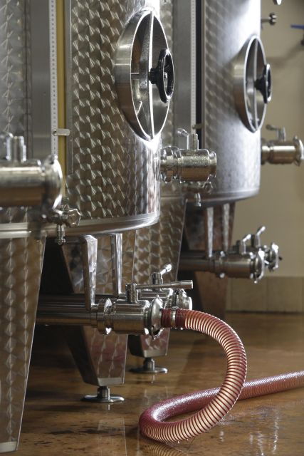 Pramaggiore: Ornella Bellia Winery Guided Tour & Tasting - Tour Highlights