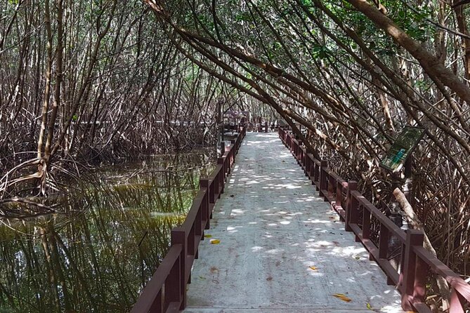 Pranburi Forest Park and Khao Daeng Join Tour From Hua Hin - Cancellation Policy