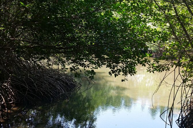 Pranburi Forest Park and Khao Daeng Join Tour From Hua Hin - Reviews and Ratings