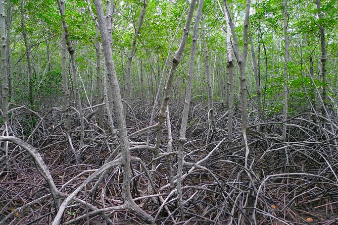 Pranburi Forest Park and Khao Daeng Join Tour From Hua Hin - Additional Information