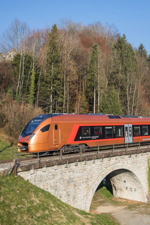 Pre-Alps Express: Scenic Ride Between Rapperswil and Lucerne - Train Features and Amenities