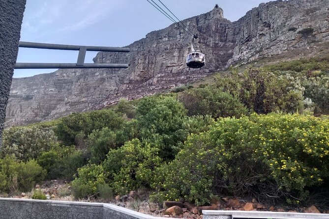 Pre-Booked Ticket Robben Island and Table Mountain Private Tours - Booking Information and Process