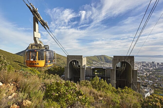 Pre-Booked Ticket Robben Island and Table Mountain Private Tours - Operator and Tour Guide Details