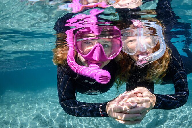 Pre-Season Special Manatee Snorkel Tour in Crystal River - Good To Know