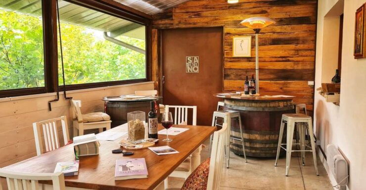 Predappio Wine Experience: Wine Tasting and Vineyard Tour - Tour Options