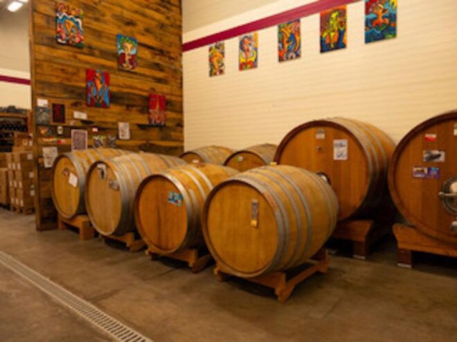 Predappio: Wine Tasting and Vineyard Tour Experience - Itinerary and Tour Highlights