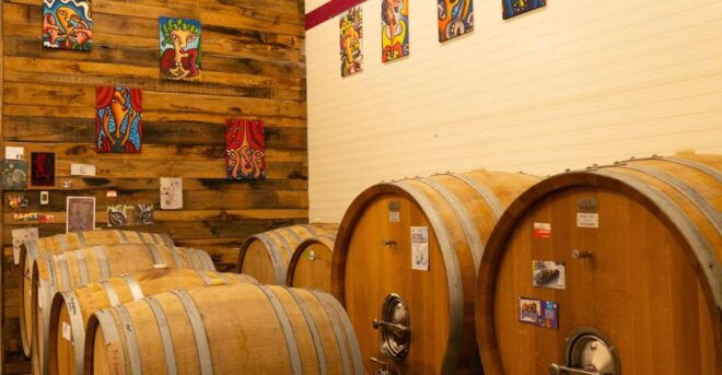 Predappio: Wine Tasting and Vineyard Tour Experience - Frequently Asked Questions