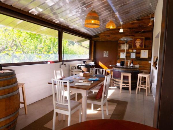 Predappio: Wine Tasting and Vineyard Tour Experience - The Sum Up