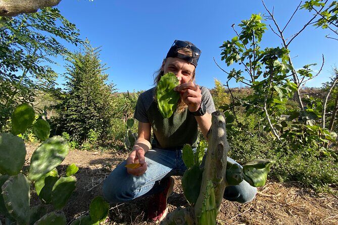 Prehispanic Tacos Cooking Class - Who Should Book This Experience?