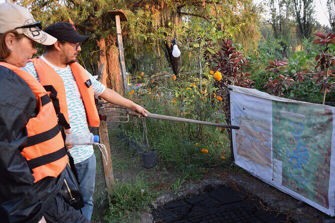 Prehispanic Xochimilco: Market, chinampas and axolotls - Who Would Love This Tour?
