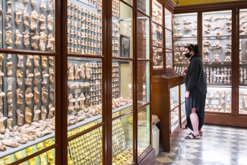 Prehistoric Temples of Malta Tour - FAQ